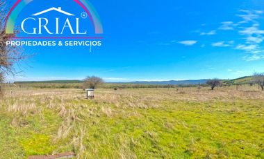 Terreno 5.000 M2 en Mallermo