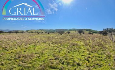 Terreno 5.000 M2 en Mallermo