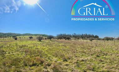 Terreno 5.000 M2 en Mallermo