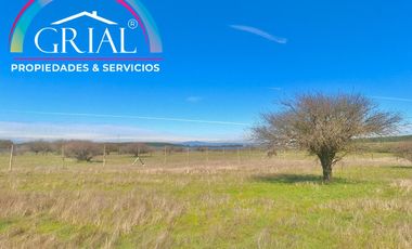 Terreno 5.000 M2 en Mallermo