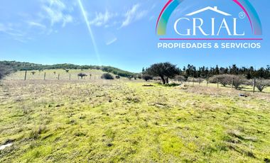 Terreno 5.000 M2 en Mallermo