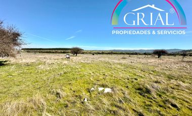 Terreno 5.000 M2 en Mallermo