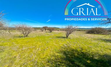 Terreno 5.000 M2 en Mallermo