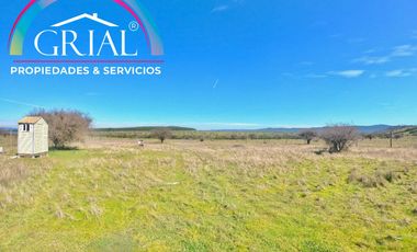 Terreno 5.000 M2 en Mallermo