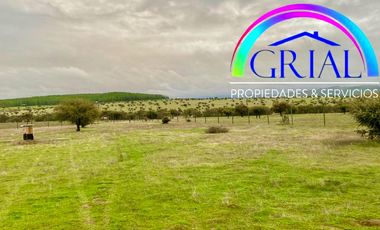 Terreno 5.000 M2 en Mallermo