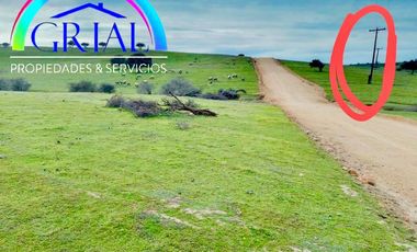 Terreno 5.000 M2 en Mallermo