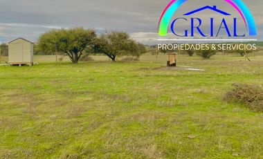 Terreno 5.000 M2 en Mallermo