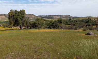 Hermosas parcelas planas  a solo  2hrs de Santiago ¡¡¡¡