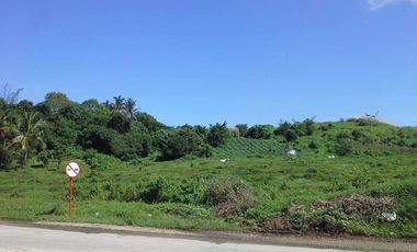 A 4.5 hectares vacant agricultural land in Angat Bulacan is for sale.