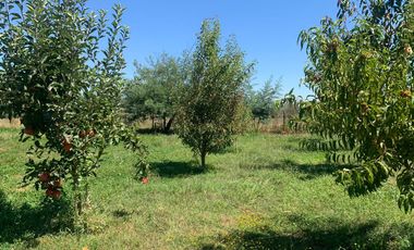 Se vende parcela 7.430 m2 con casa en Pelarco