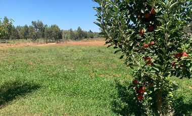Se vende parcela 7.430 m2 con casa en Pelarco