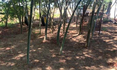 Se vende parcela 7.430 m2 con casa en Pelarco