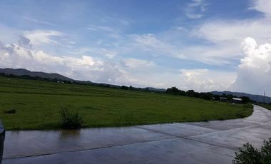 For Sale:  Farm Lot in Alaminos, Pangasinan
