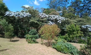 One Of A Kind Mediterranean Style Home In Countryside of Tablazo, Rionegro