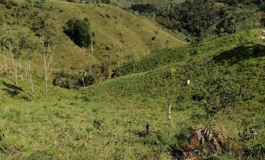 Venta Finca Ganadera y Agrícola San Roque Antioquia