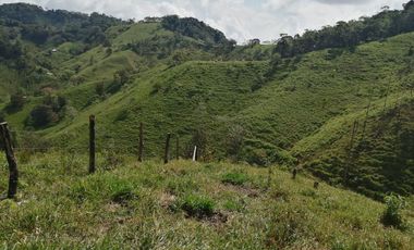 Venta Finca Ganadera y Agrícola San Roque Antioquia