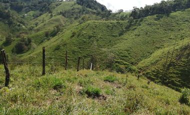 Venta Finca Ganadera y Agrícola San Roque Antioquia