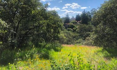 Terreno en Venta en Las Cabañas