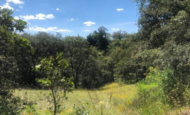 Terreno en Venta en Las Cabañas