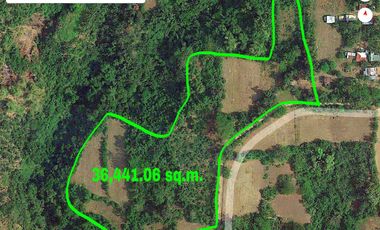 OVER LOOKING FARM LOT FOR SALE| Lot area : 36,441.06 sq.m.|Talisay, Batangas|