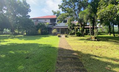 ❗RUSH SALE! 3 hectare private farm residential leisure property for sale in Zambales for only 63M (2,000+/sqm only) with clean title
