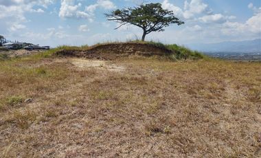 VENTA DE LOTES CAMPESTRES CERRITOS RISARALDA