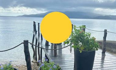 FOR SALE!  Luxurious Beach House and Lot in Anilao with Infinity Pool, Beach Front, with Boat House and Forest View.