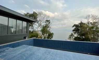 FOR SALE!  Luxurious Beach House and Lot in Anilao with Infinity Pool, Beach Front, with Boat House and Forest View.