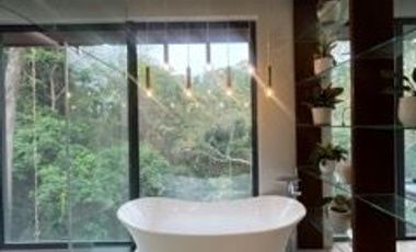 FOR SALE!  Luxurious Beach House and Lot in Anilao with Infinity Pool, Beach Front, with Boat House and Forest View.