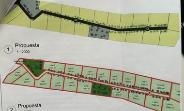 VENDO PREDIO EN EL CARMEN, CHINCHA, A 2KM DE LA HACIENDA SAN JOSÉ