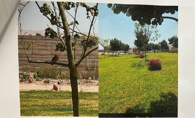 VENDO PREDIO EN EL CARMEN, CHINCHA, A 2KM DE LA HACIENDA SAN JOSÉ
