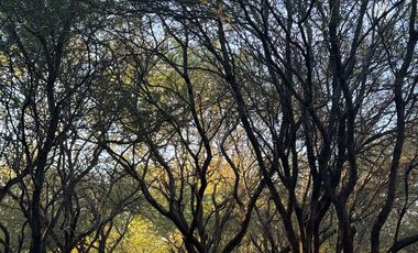 Casa en venta en Punta del Este a 2 cuadras de Walmart