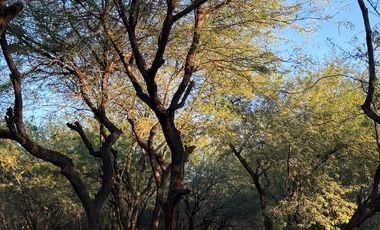 Casa en venta en Punta del Este a 2 cuadras de Walmart