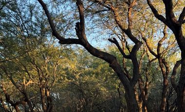 Casa en venta en Punta del Este a 2 cuadras de Walmart