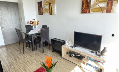 departamento duplex  Jardin Urbano 3