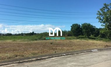 For Sale: Vacant Lots in Manila Southwoods Residential Estates Phase 5, Southwoods Ave., Carmona, Cavite City