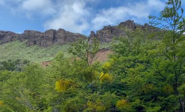 Campo en venta en Coyhaique Con Fantastica Vista 62,7 hectáreas - Región de Aysén