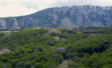Campo en venta en Coyhaique Con Fantastica Vista 62,7 hectáreas - Región de Aysén