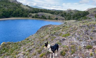Campo en venta en Coyhaique Con Fantastica Vista 62,7 hectáreas - Región de Aysén
