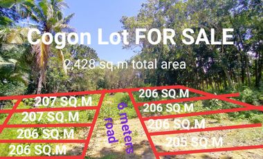 206 sq.m TITLED lot for sale located in Cogon District, Tagbilaran City