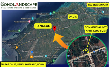Commercial Lot for Sale located in Bingag, Dauis, Panglao Island, Bohol
