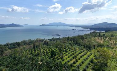 Spectacular seaview 21 rai of  hillside land for sale in Takua Thung, Phang Nga.