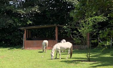VENTA HACIENDA VÍA SANTO DOMINGO / LA CONCORDIA