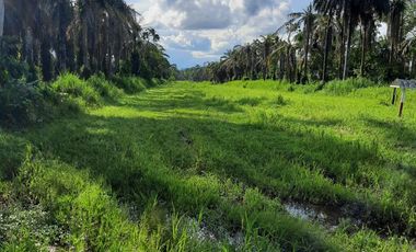 VENTA HACIENDA VÍA SANTO DOMINGO / LA CONCORDIA