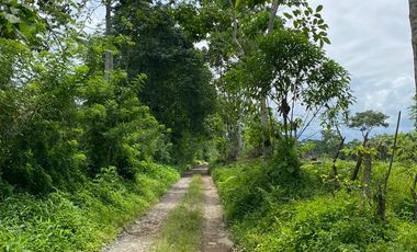 VENTA HACIENDA VÍA SANTO DOMINGO / LA CONCORDIA