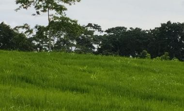 VENTA HACIENDA VÍA SANTO DOMINGO / LA CONCORDIA