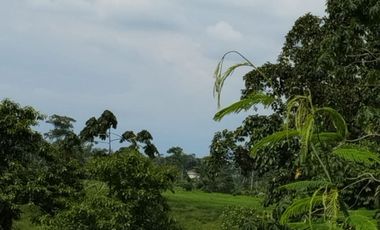 VENTA HACIENDA VÍA SANTO DOMINGO / LA CONCORDIA