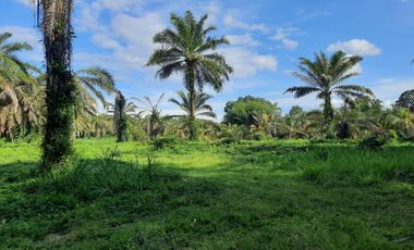 VENTA HACIENDA VÍA SANTO DOMINGO / LA CONCORDIA