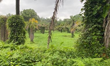 VENTA HACIENDA VÍA SANTO DOMINGO / LA CONCORDIA
