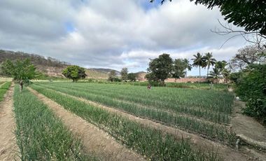 terreno de venta en charapoto manabi